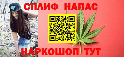 apvp Камышлов
