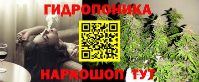 прущий лед Канаш