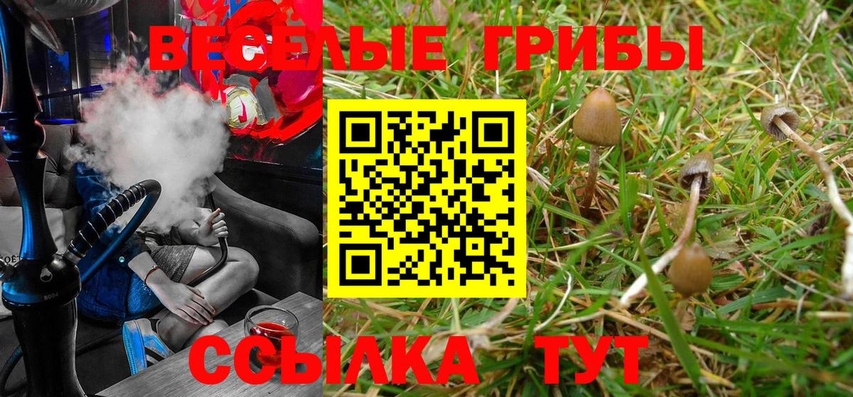 Чапаевск  Псилоцибиновые грибы Psilocybe  Вход с VPN  Галлюциногенные грибы мицелий 